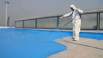 聚合物水泥防水涂料_聚合物水泥防水涂料二型